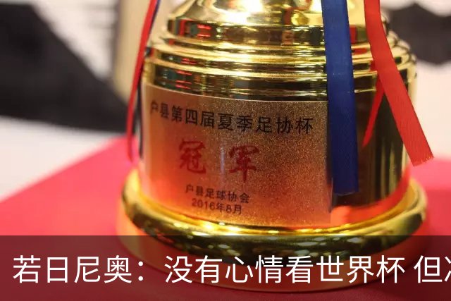 若日尼奥：没有心情看世界杯 但决赛真的很棒
